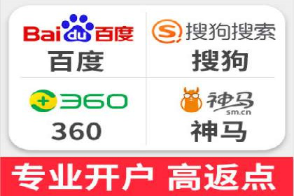 SEO百度推广策略：成功案例解析